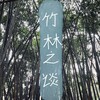 Логотип телеграм канала @zhulinzhitan — 竹林之谈｜Разговоры в бамбуковой роще｜Живой китайский без учебников
