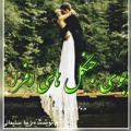 لوگوی کانال تلگرام zibasoleymani539romans — رمان‌های زيبا سليمانی (تجانس)🪐