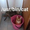 Логотип телеграм канала @zieng2 — zieng2