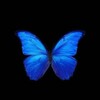 Logo of telegram channel zilowkam_oo5 — 💙Love💙
