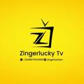 Logo saluran telegram zingerlucky — Zingerlucky Tv