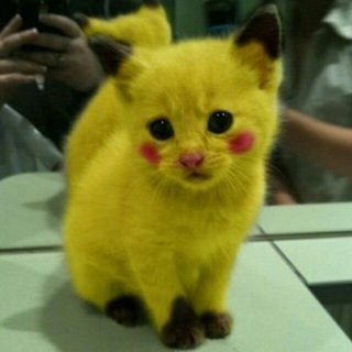 Логотип телеграм канала @zininfo — аклачубО