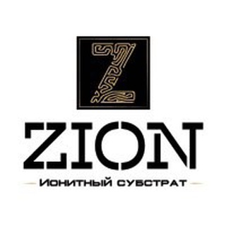 电报频道的标志 zion_rus — ZION_RUS_