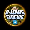 Logo of telegram channel zip100jars — 🚘C-LOWS✈EXOTICS🛥