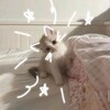 Логотип телеграм канала @zirsvl48qbhkowuy — В Боготоле ищут«…»