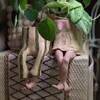 Логотип телеграм канала @zitelipodokonnika — ЖИТЕЛИ ПОДОКОННИКА🪴