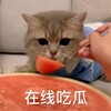 电报频道的标志 zjsuhsb — 💋新电报吃瓜🍉色情版