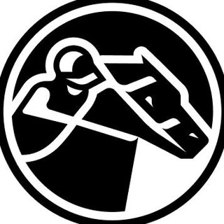 Logo of telegram channel zkrace_news — zkRace Announcements 🐎
