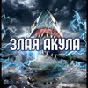 Логотип телеграм канала @zlakula — ЗЛАЯ АКУЛА