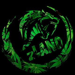 Логотип телеграм канала @zlandyshki — zLAND