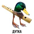 Logo des Telegrammkanals zlayytkatg - кто такой утка