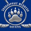 Логотип телеграм канала @zmnorilsk — Фанаты ХК Норильск "ЗМ"