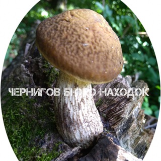 Логотип телеграм канала @znahodka — Чернигов Бюро находок