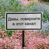 Логотип телеграм канала @znak_devi — Девы, это знак