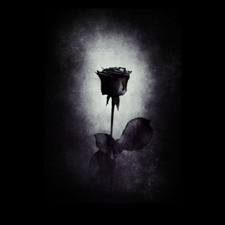 Логотип телеграм канала @znakomstva_nn2 — ФЕИ 🌈НИЖНЕГО НОВГОРОДА🌈