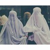Логотип телеграм канала @znanie0900999 — Зудрех фитна хуьлу, наггахь уьш динан генахь белахь.🔥