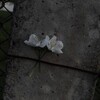 Логотип телеграм канала @znaniyaaaaaa113 — хижина знаний