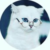 Логотип телеграм канала @znavolka — Мифы и факты