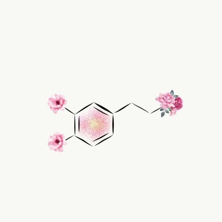 Логотип телеграм канала @znohelperbh — ЗНО Помічник | Біологія та хімія