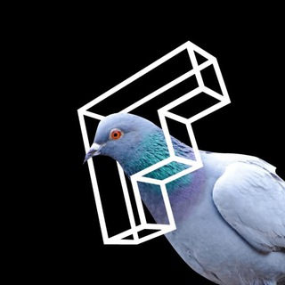 Логотип телеграм канала @zodchestvovrn — ЗОДЧЕСТВО ВРН