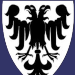 Логотип телеграм канала @zoldatt — Брянское княжество