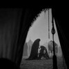 لوگوی کانال تلگرام zoljanah_madad — - ذوالجناح‌مدد 𝟕𝟗𝟗🪔