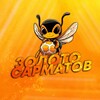 Логотип телеграм канала @zoloto_sarmatov — Золото Сарматов