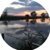 Логотип телеграм канала @zolotoyjarac — Золотой Карась