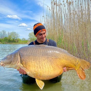 Логотип телеграм канала @zolotoykarp — Магазин для Рыбалки