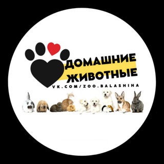 Логотип телеграм канала @zoo_moscow — ДОМАШНИЕ ЖИВОТНЫЕ | МОСКВА