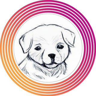 Логотип телеграм канала @zoo1_krsk — Первый зоомагазин Красноярск