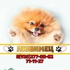 Логотип телеграм канала @zoo_lubimec — Центр помощи животным «Любимец»
