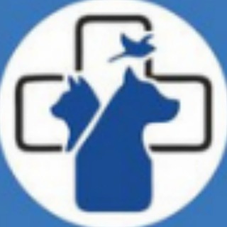 Логотип телеграм канала @zoobirsk — Ветеринарная аптека" Все для животных"