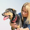 Логотип телеграм канала @zoohelp_okt — Zoohelp_okt 🐶🐾🐈