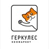 Логотип телеграм канала @zoohercules — Зоомаркет Геркулес Зеленоград