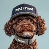 Логотип телеграм канала @zoomagazindlyajivotnixpetshop — ЗооАптека🐶 (ВетЦентр Милосердие)