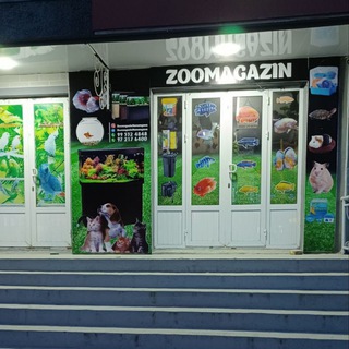 Логотип телеграм канала @zoomagazinnamangana — Zoomagazin | 5-Mik.