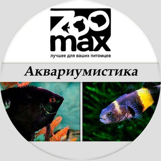 Логотип телеграм канала @zoomaxakva — ZooMax - Аквариумистика