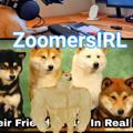 Logo saluran telegram zoomersirlofficial — Zoomers IRL