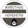 Логотип телеграм канала @zooneryungri — Zooneryungri