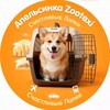 Логотип телеграм канала @zooorange — 🐾 Апельсинка Zootaxi - Счастливые Лапки