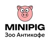Логотип телеграм канала @zoopigcafe — «MINIPIG» Зоо Антикафе