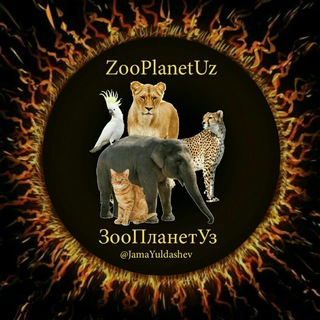 Логотип телеграм канала @zooplanetuz — 🌐ЗооПЛАнет🌐