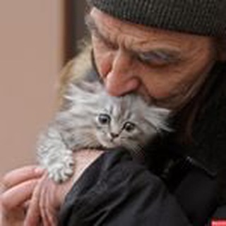 Логотип телеграм канала @zooprotector — Zooprotector - Защита животных
