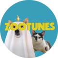 Логотип телеграм канала @zootunes — Ссылка на канал Zootunes