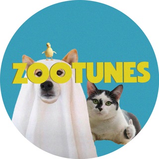 Логотип телеграм канала @zooutunes — ZOOTUNES | Животные