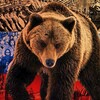 Логотип телеграм канала @zovnaxodka_bez_nacistov — ПРИМОРСКИЙ ZOV❗️Работайте Братья ❗️