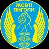 Логотип телеграм -каналу zovtiangelikharkiv — 🇺🇦 Жовті Янголи Харків 🇺🇦