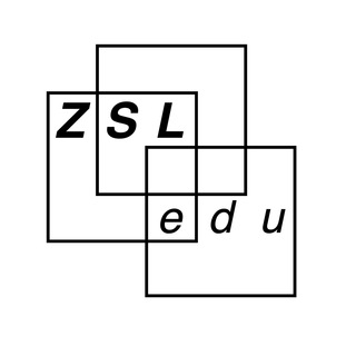 Логотип телеграм канала @zsledu — ZSLedu