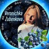 Логотип телеграм канала @zubenkovaia — ВЕРОНИЧКА🫐ЧЕРНИЧКА🫐
